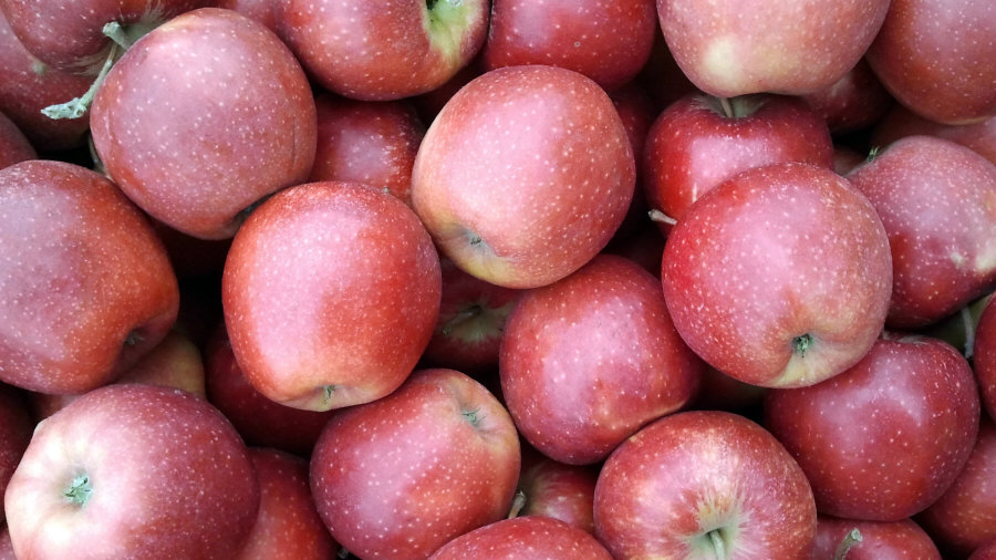 Esportatore polacco di frutta, mele, pere, prugne, ciliegie, ingrosso Polonia 02